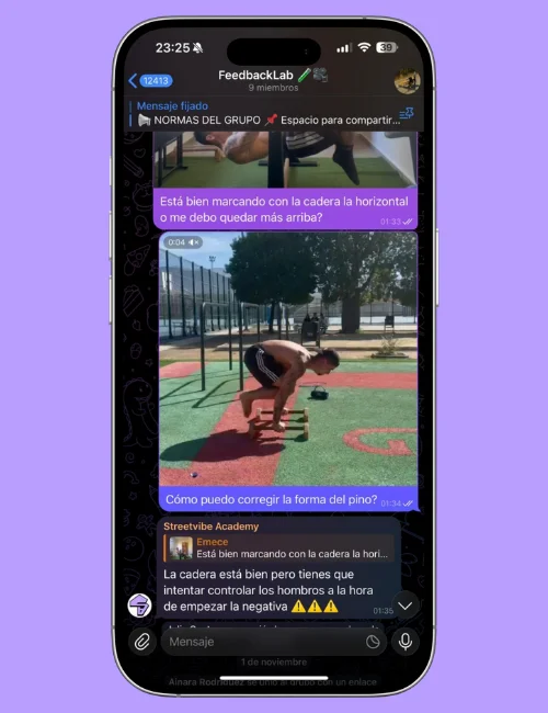 corrección de ejercicios de calistenia