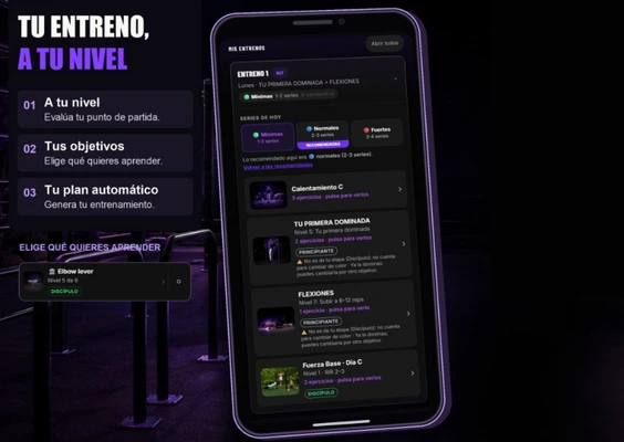 generador de entrenamientos de calistenia automático